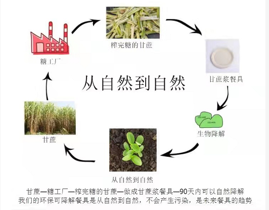 環(huán)保紙漿餐具多長(zhǎng)時(shí)間可以完全降解？